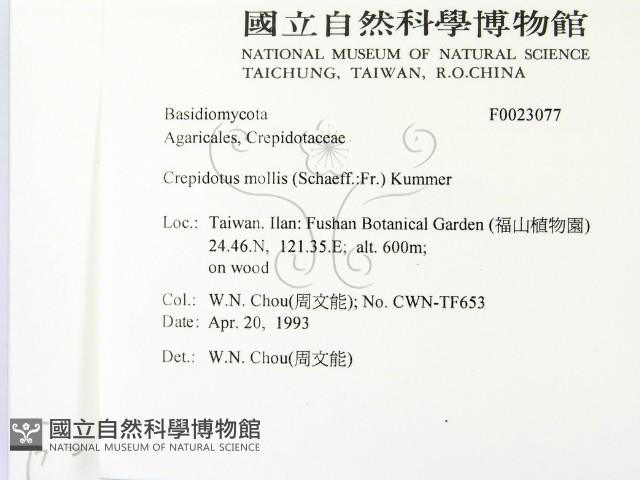 登錄號:F0023077藏品圖，第2張