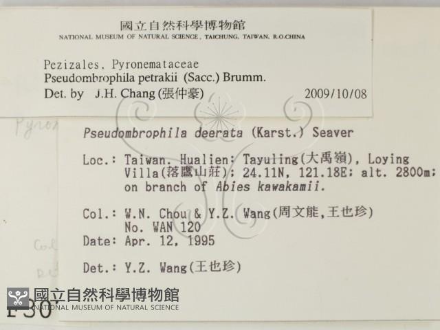 登錄號:F0003077藏品圖，第2張