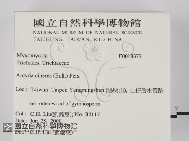 登錄號:F0018377藏品圖，第2張