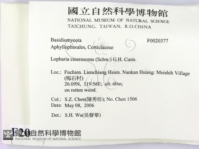 登錄號:F0020377藏品圖，第2張