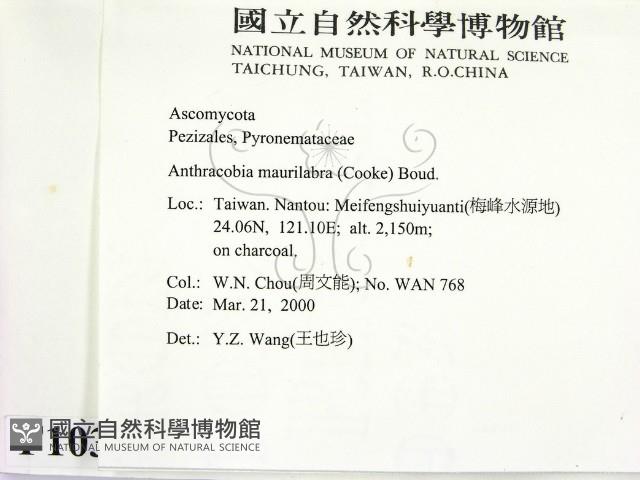 登錄號:F0010377藏品圖，第2張