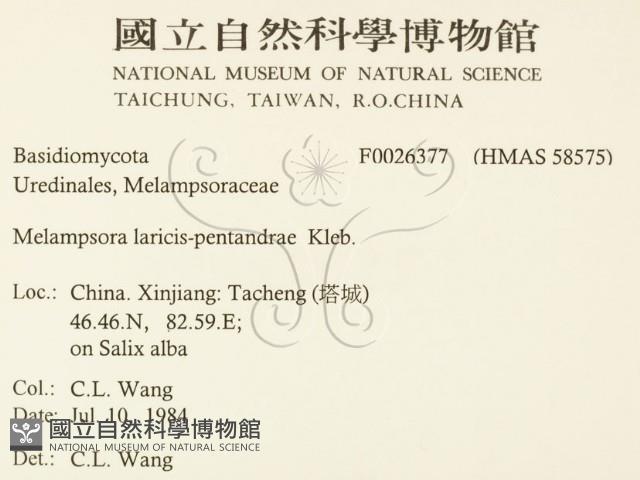 登錄號:F0026377藏品圖，第2張