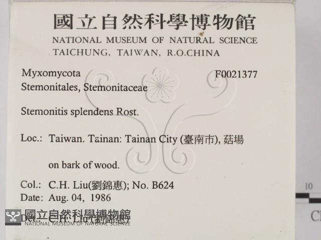 登錄號:F0021377藏品圖，第2張