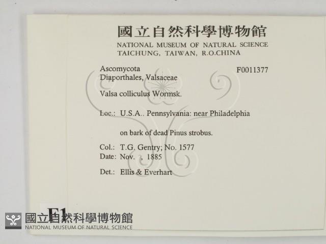 登錄號:F0011377藏品圖，第2張