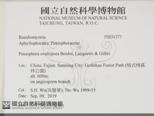 登錄號:F0034377藏品圖，第2張