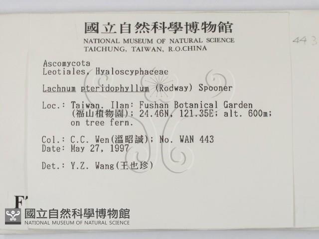 登錄號:F0007377藏品圖，第2張