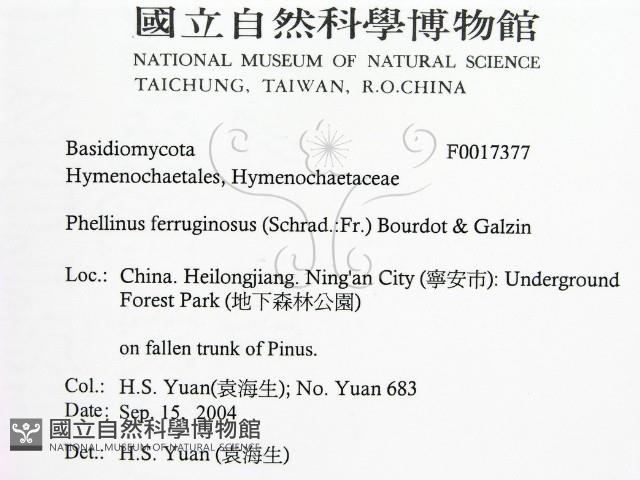 登錄號:F0017377藏品圖，第2張