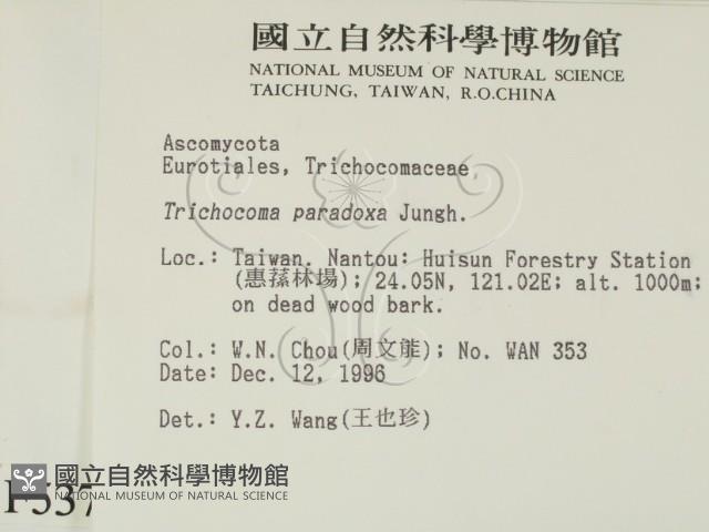 登錄號:F0005377藏品圖，第2張