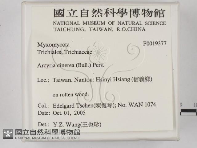 登錄號:F0019377藏品圖，第2張