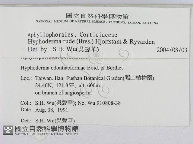 登錄號:F0000265藏品圖，第2張