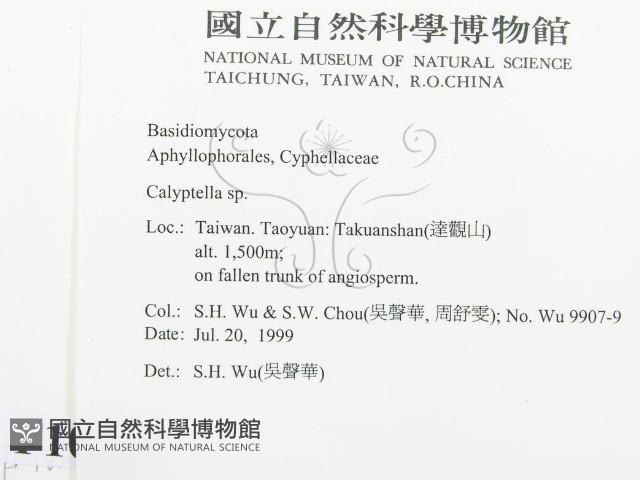 登錄號:F0010265藏品圖，第2張