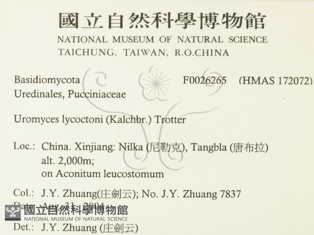 登錄號:F0026265藏品圖，第2張