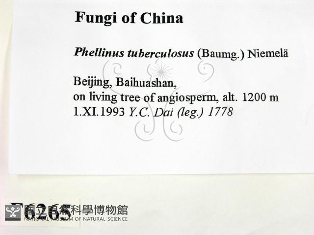 登錄號:F0006265藏品圖，第2張