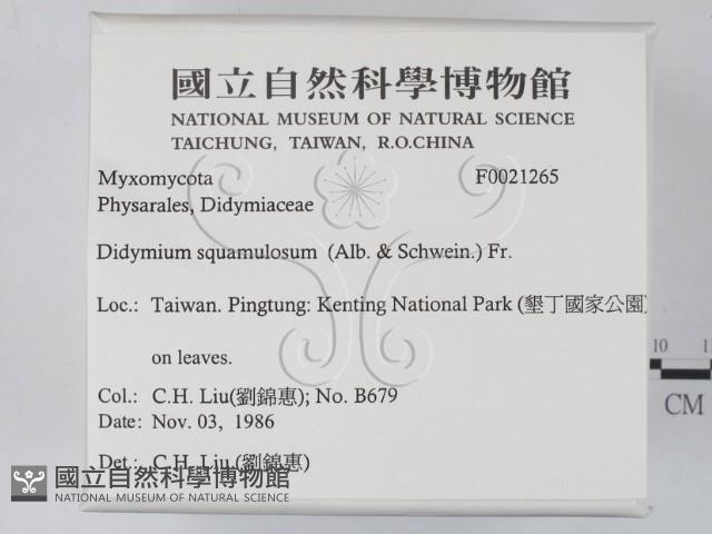登錄號:F0021265藏品圖，第2張