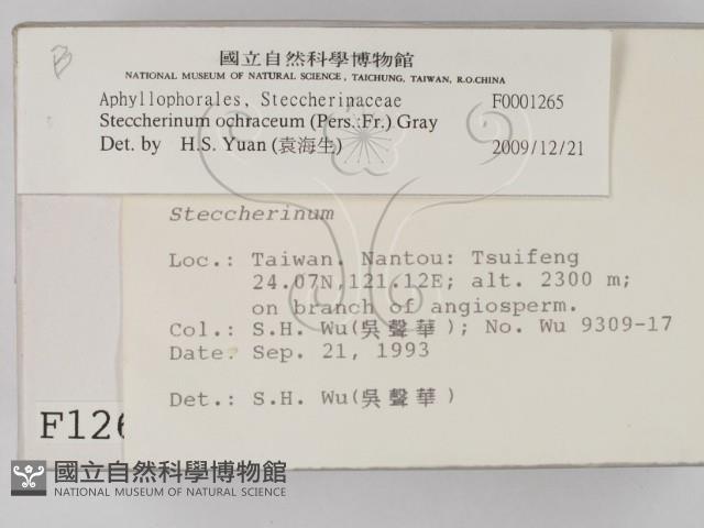 登錄號:F0001265藏品圖，第2張