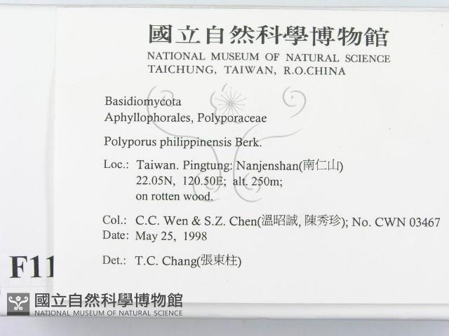 登錄號:F0011265藏品圖，第2張
