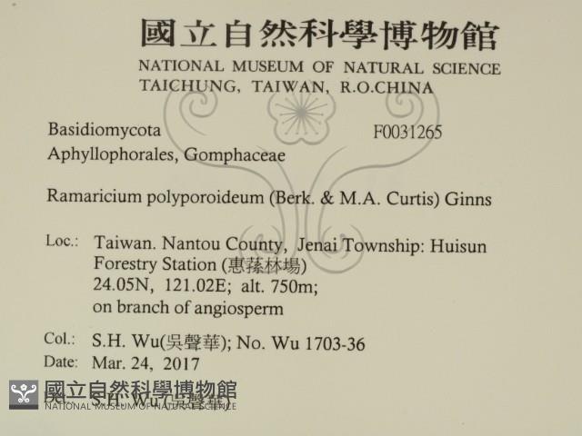 登錄號:F0031265藏品圖，第2張