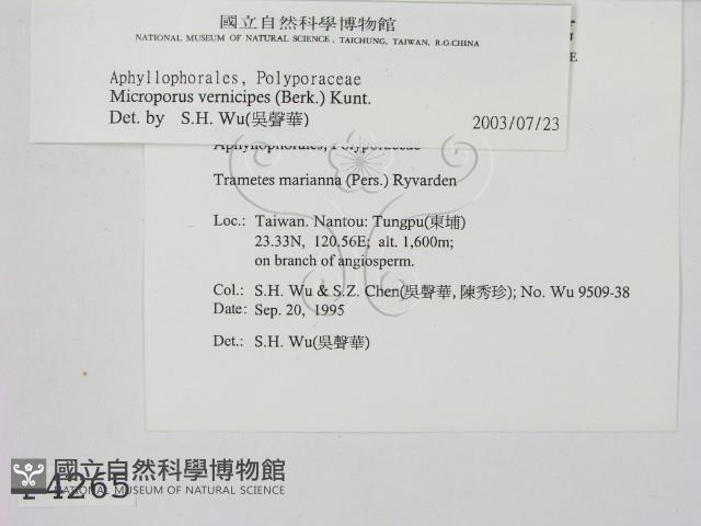 登錄號:F0004265藏品圖，第2張