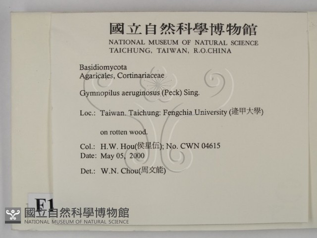 登錄號:F0014265藏品圖，第2張