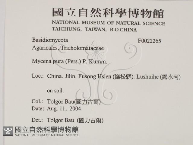 登錄號:F0022265藏品圖，第2張