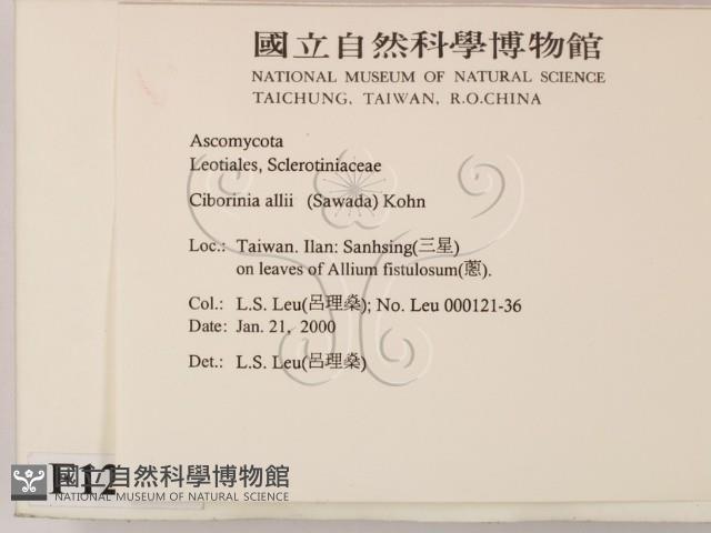 登錄號:F0012265藏品圖，第2張