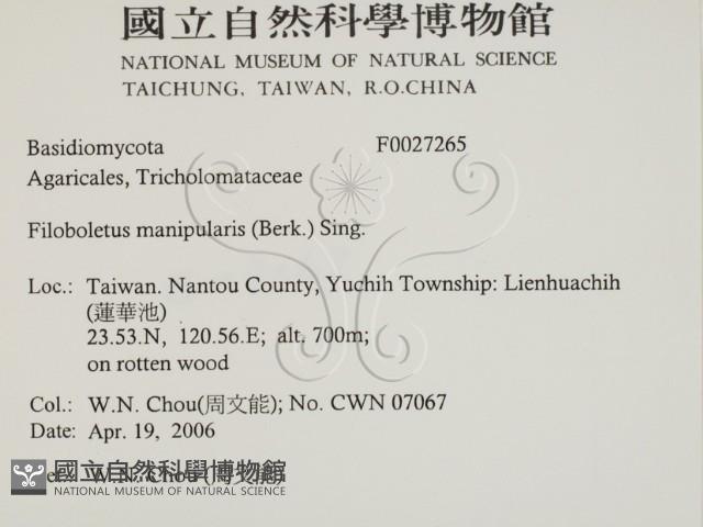 登錄號:F0027265藏品圖，第2張