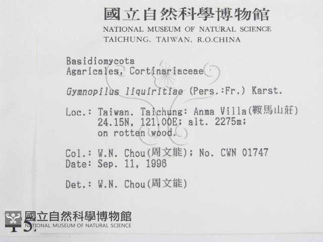 登錄號:F0005265藏品圖，第2張