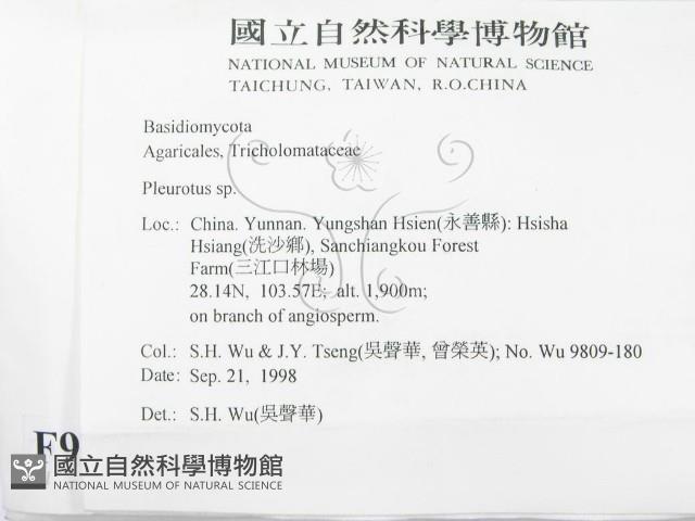 登錄號:F0009265藏品圖，第2張