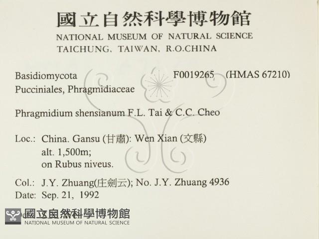 登錄號:F0019265藏品圖，第2張