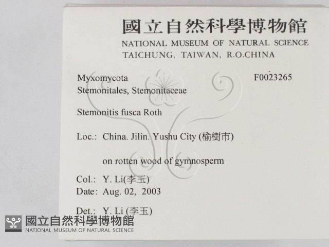 登錄號:F0023265藏品圖，第2張