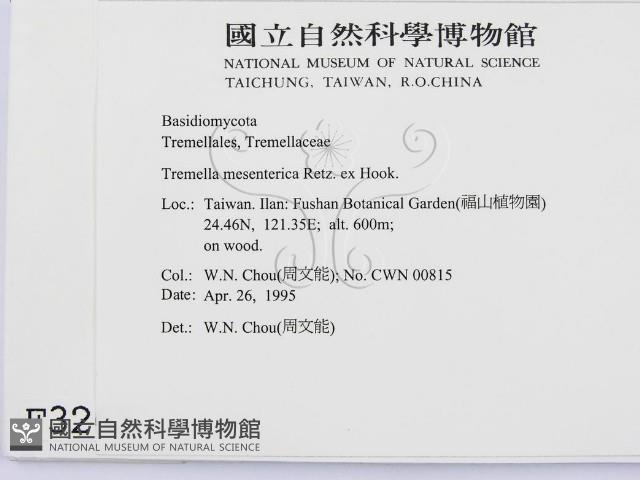 登錄號:F0003265藏品圖，第2張