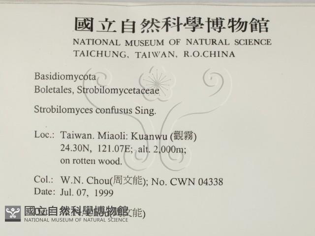 登錄號:F0013265藏品圖，第2張