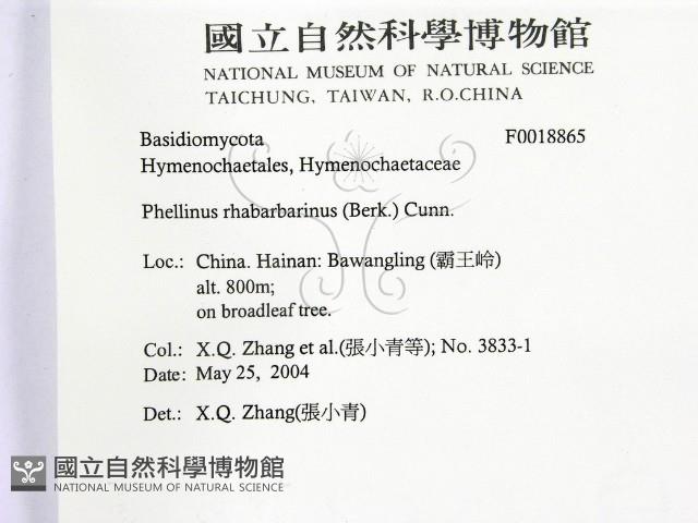 登錄號:F0018865藏品圖，第2張