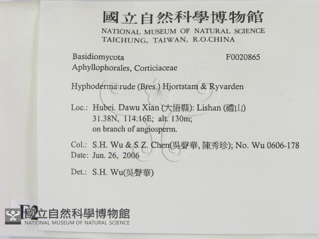 登錄號:F0020865藏品圖，第2張