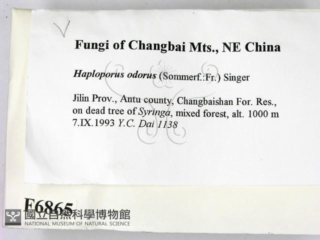 登錄號:F0006865藏品圖，第2張