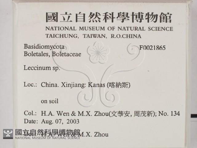 登錄號:F0021865藏品圖，第2張