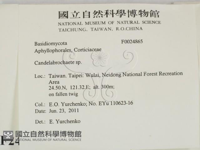 登錄號:F0024865藏品圖，第2張