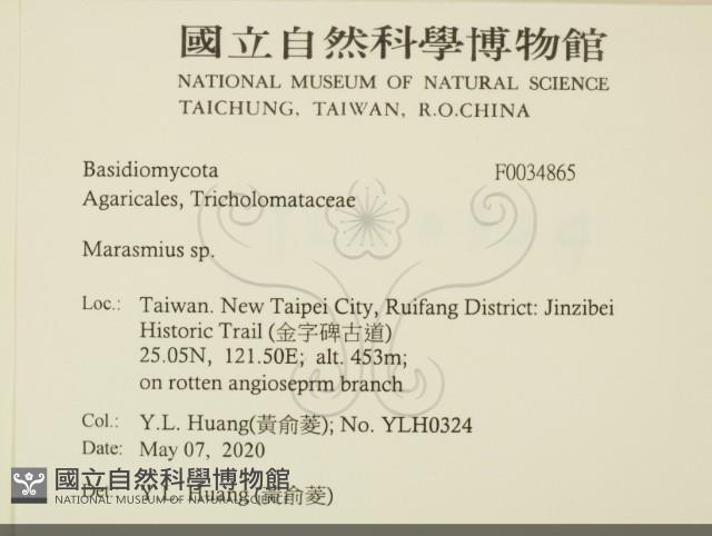 Accession Number:F0034865 Collection Image, Figure 2, Total 2 Figures