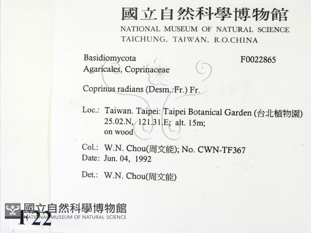 登錄號:F0022865藏品圖，第2張