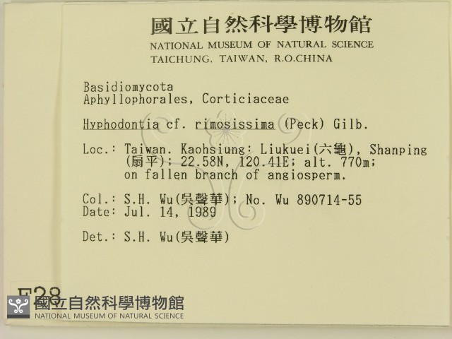 登錄號:F0002865藏品圖，第2張