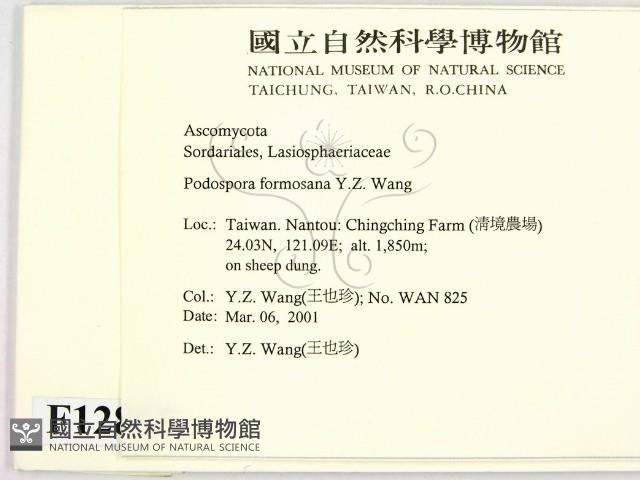 登錄號:F0012865藏品圖，第2張