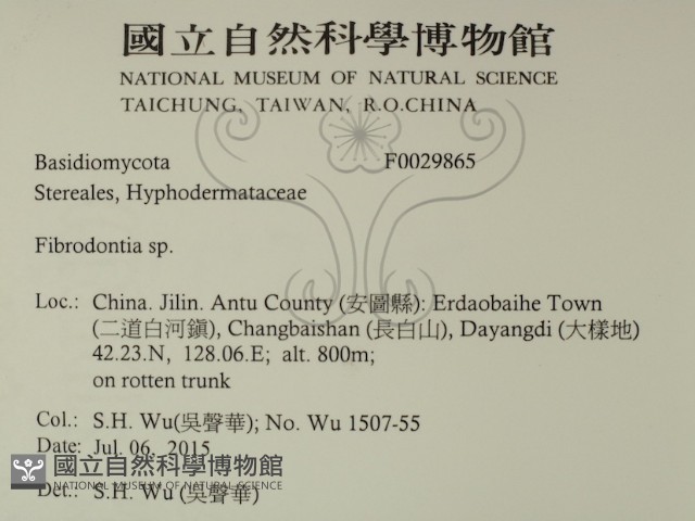 登錄號:F0029865藏品圖，第2張