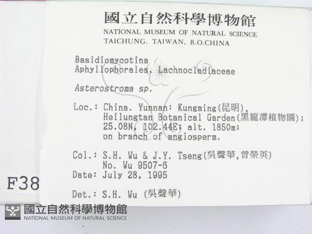 登錄號:F0003865藏品圖，第2張