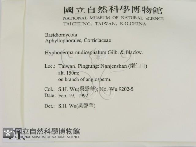 登錄號:F0013865藏品圖，第2張