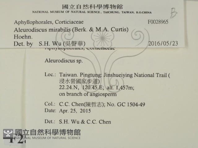 登錄號:F0028965藏品圖，第2張