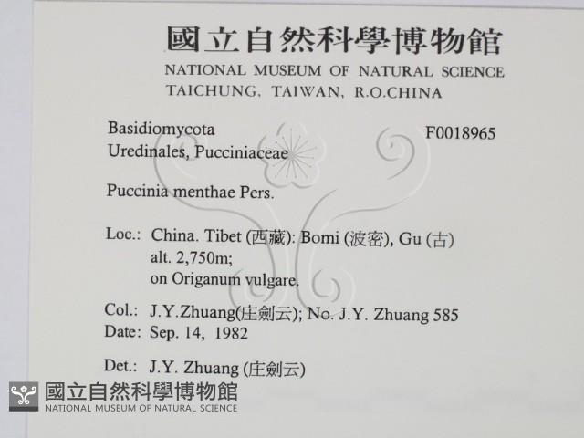 登錄號:F0018965藏品圖，第2張