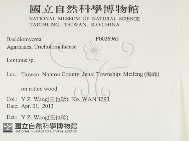 登錄號:F0026965藏品圖，第2張