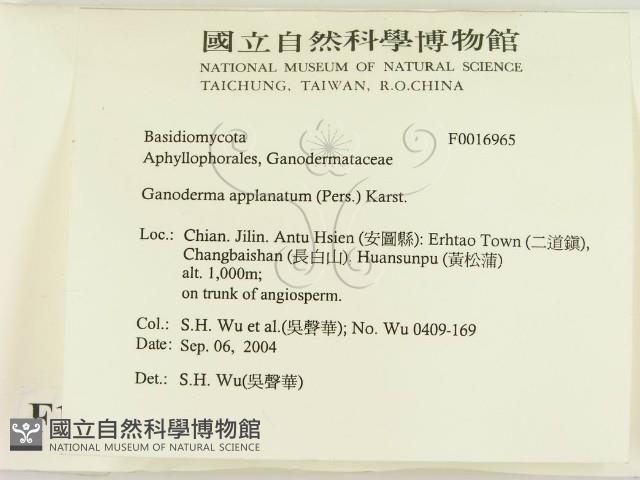 登錄號:F0016965藏品圖，第2張