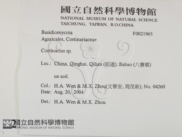 登錄號:F0021965藏品圖，第2張