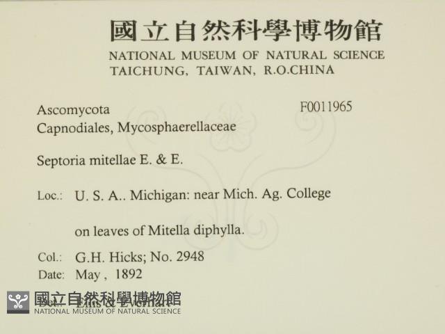 登錄號:F0011965藏品圖，第2張